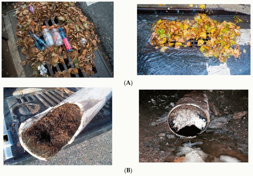 Blockage of Water Flow