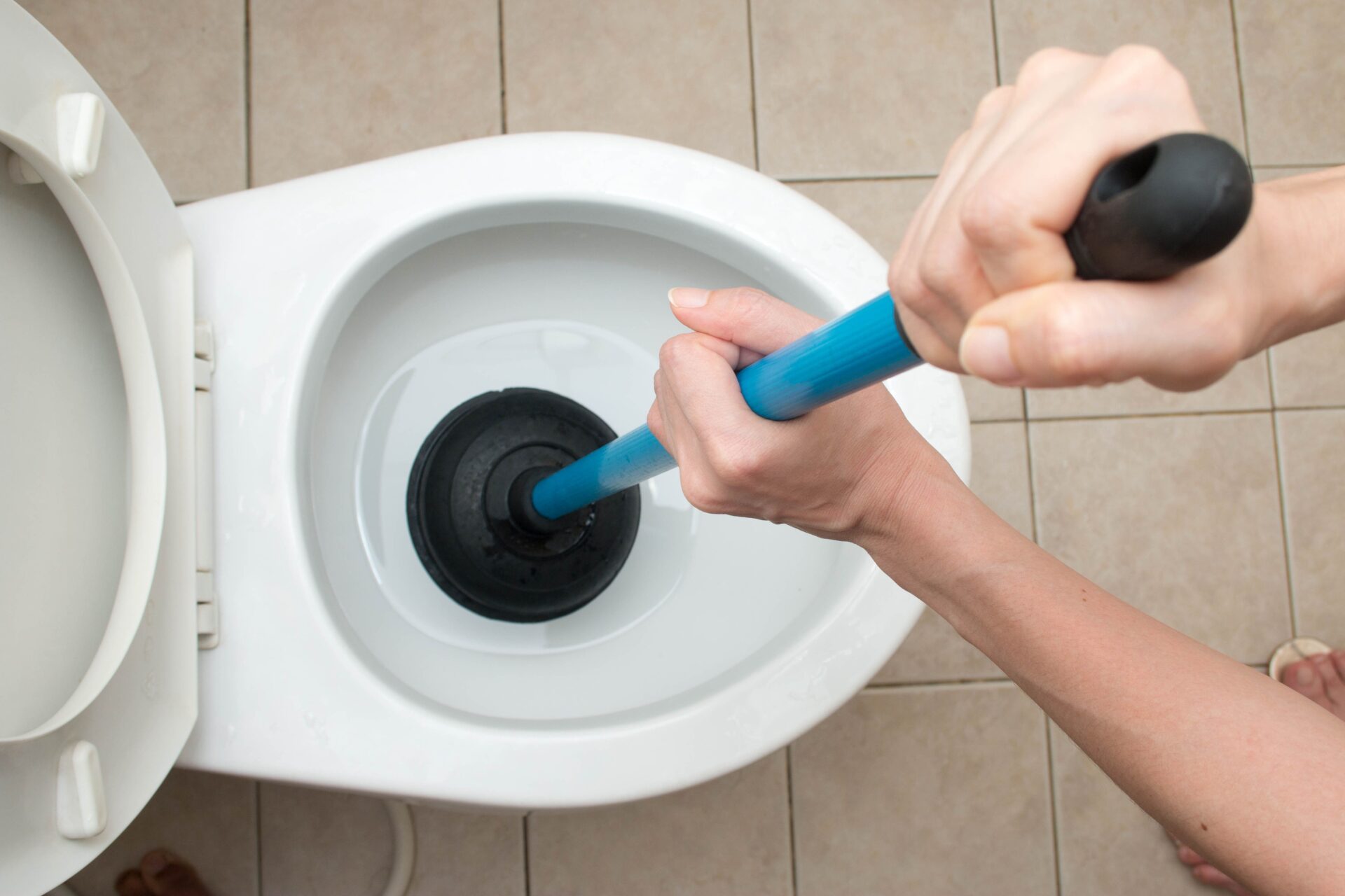 How To Clean Toilet Drain Line