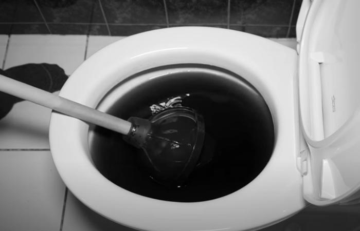  Plunge a Toilet with Poop