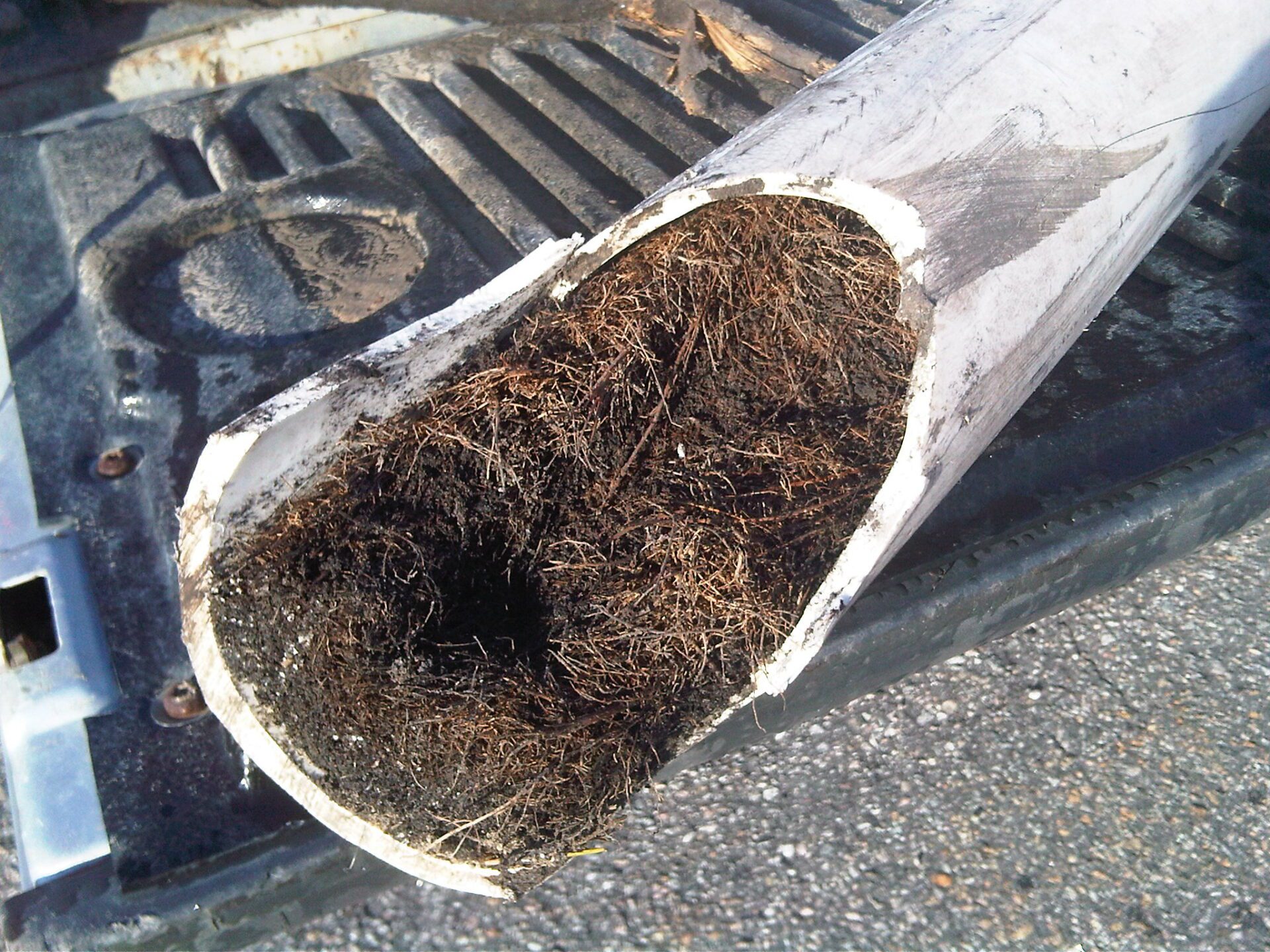 how-to-clear-roots-from-drain-pipes-expert-solutions