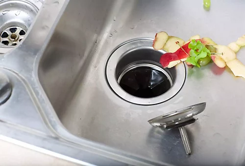 Garbage Disposal Glitches sink