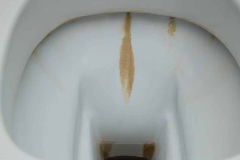 7 Proven Ways to Tackle Rust Stains in Toilet: A Comprehensive Guide