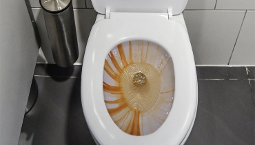 Rust Stains in Toilet